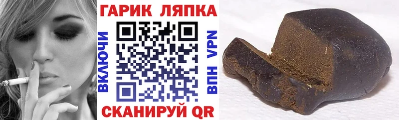 ГАШ гарик Плёс