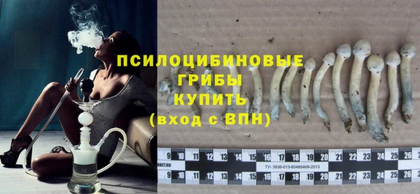 мескалин Ладушкин