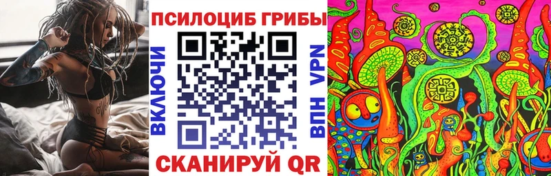 где найти   Плёс  Галлюциногенные грибы GOLDEN TEACHER 