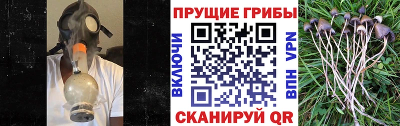 Галлюциногенные грибы MAGIC MUSHROOMS Плёс